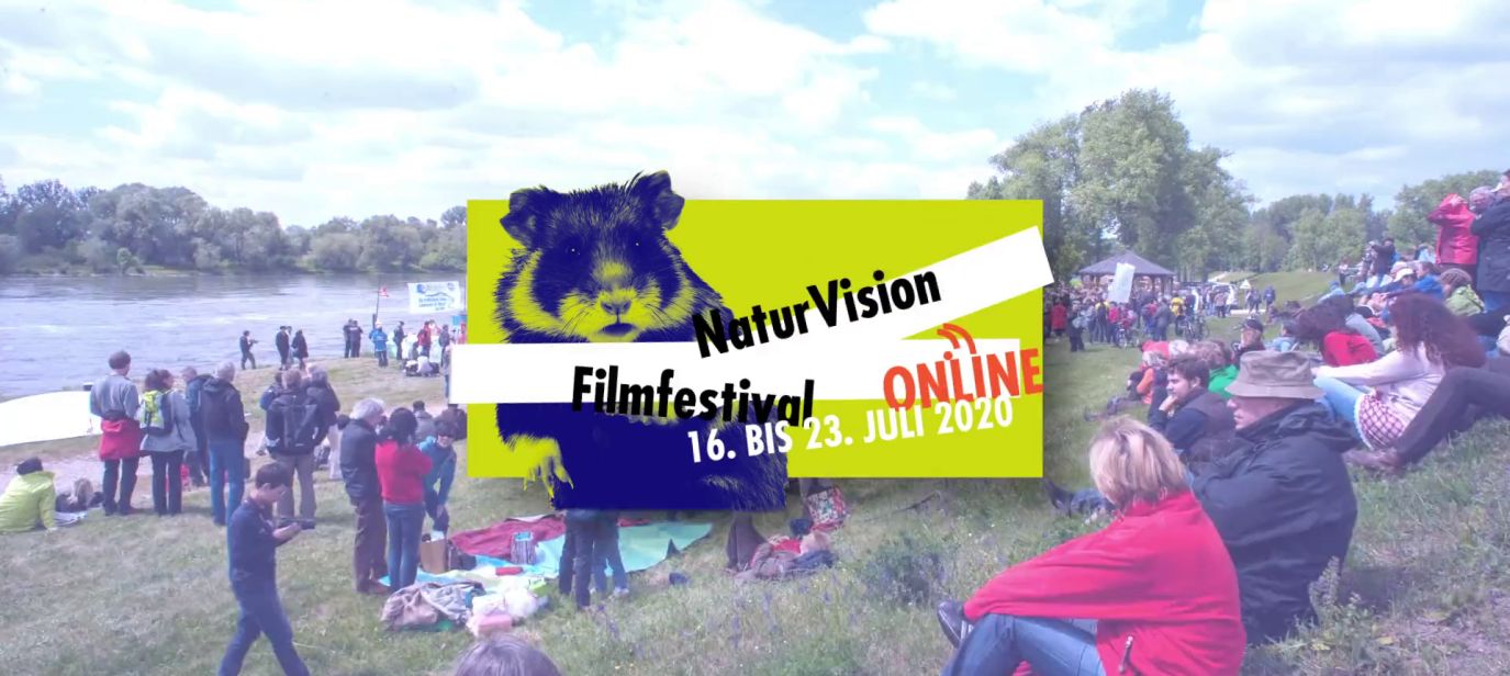 Filme Kaufen Stream Filme Kaufen Stream