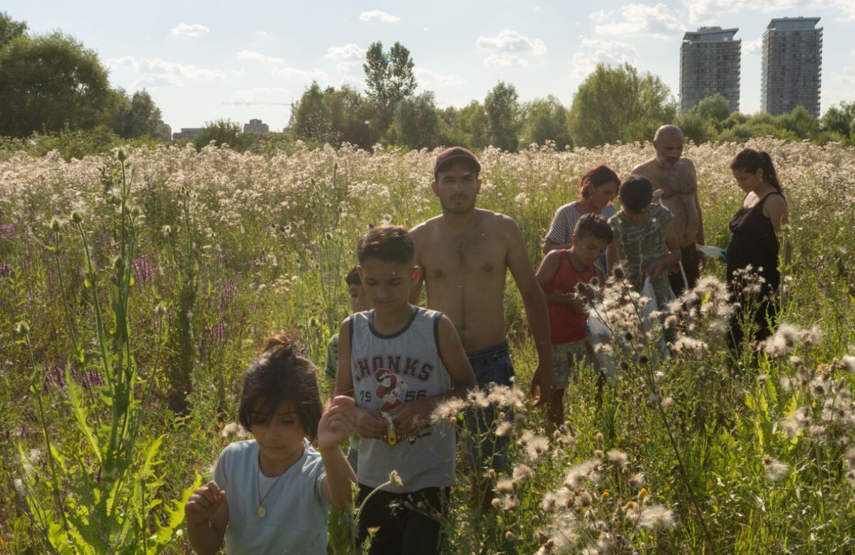 Acasă My Home Acasă Film European Film Awards