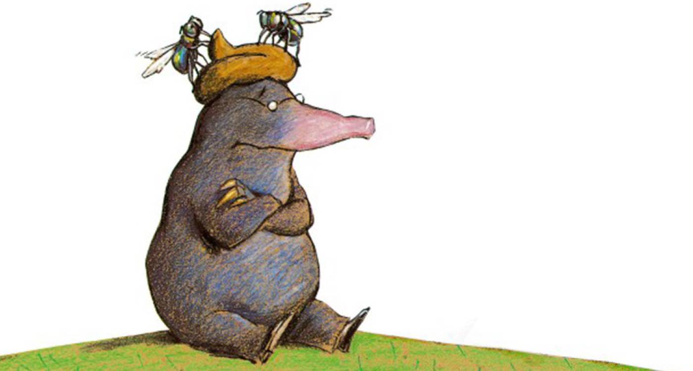 Vom Kleinen Maulwurf Der Wissen Wollte Wer Ihm Auf Den Kopf Gemacht Hat