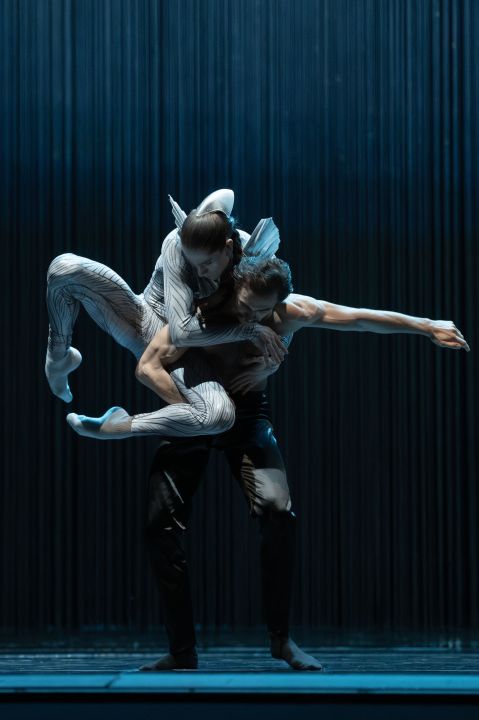 Schwanensee. Rotbarts Geschichte - Staatstheater Hannover