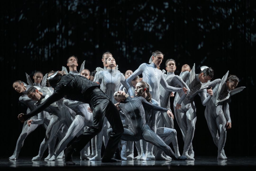 Schwanensee. Rotbarts Geschichte - Staatstheater Hannover