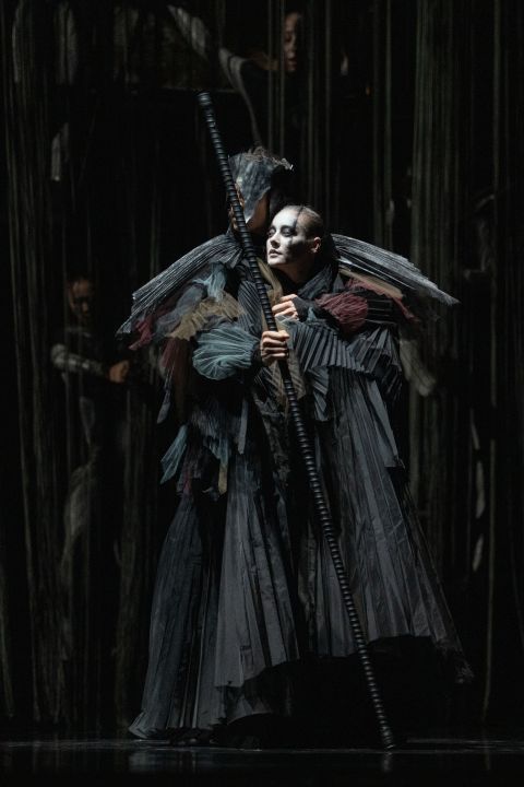 Schwanensee. Rotbarts Geschichte - Staatstheater Hannover