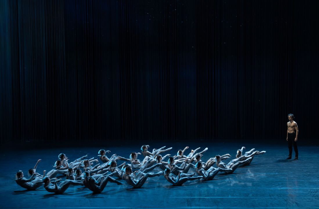 Schwanensee. Rotbarts Geschichte - Staatstheater Hannover