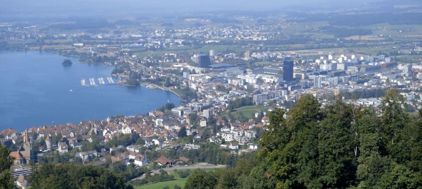Der Ast, auf dem ich sitze - Ein Steuerparadies in der Schweiz