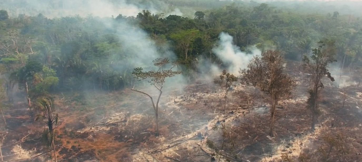 SOS Amazonas – Apokalypse im Regenwald