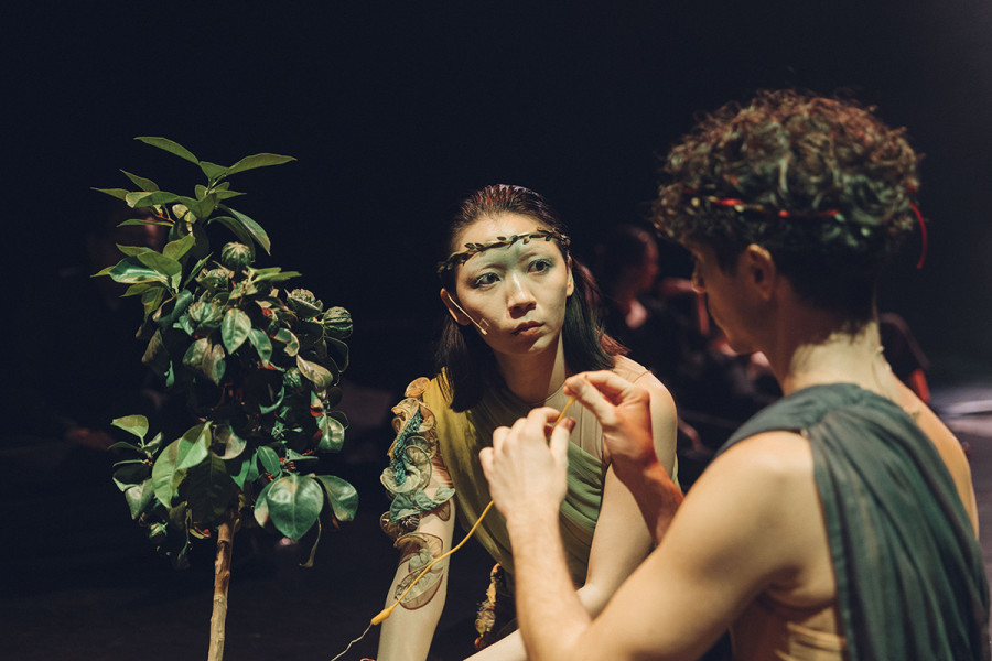 Ein junger Mann und eine junge Frau im Gespräch, die Augen aufmerksam aufeinander richtend. Sie sind bekränzt und tragen Toga (sie grünlich, er lila-blau). Neben ihnen ein Feigenbaum.
