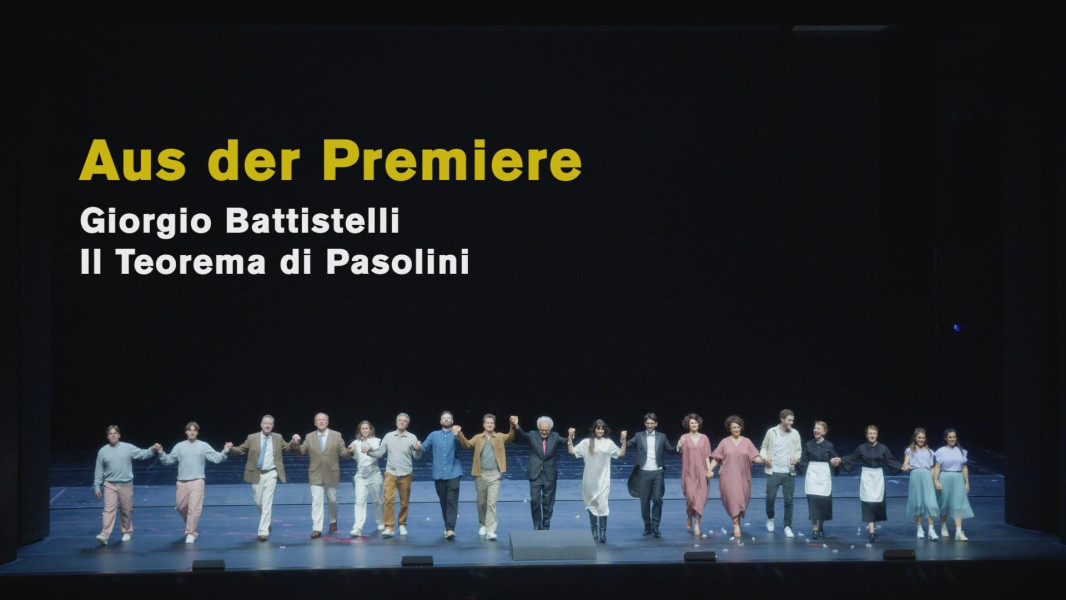 Dieses Bild zeigt das Ensemble beim Abschlussapplaus. Es ist das Standbild zum Video "Premierenstimmen Il Teorema di Pasolini"