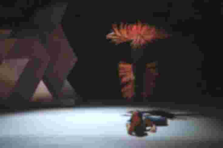 © Marianne Menke // Eine Tänzerin liegt mit dem Gesicht zum Publikum auf dem Boden. Hinter ihr steht ganz aufrecht eine schwarze Gestalt. Sie ist über und über mit langen orangenen Stacheln besetzt.