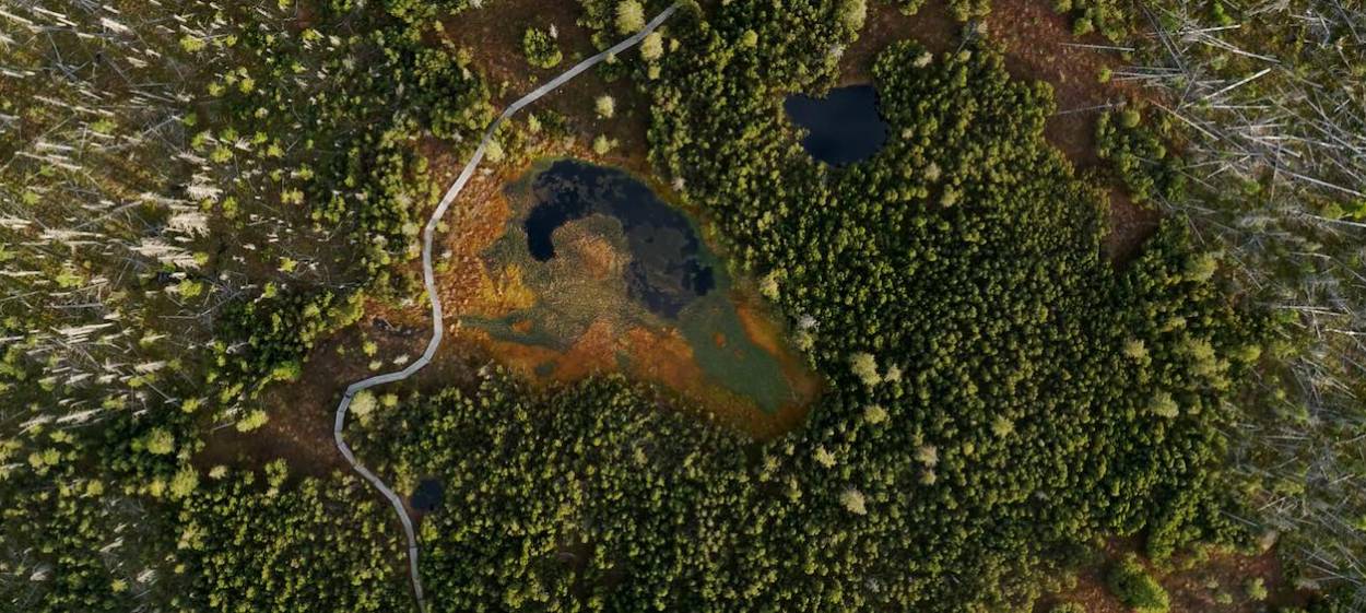 WILD HEART OF EUROPE  // © 2020 Lisa Eder Film | Albatross World Sales    WILD HEART OF EUROPE