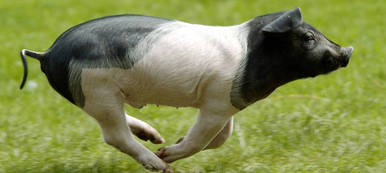 YES WE CAN... Agricultural Change NOW!  // © 2022 DENKmal-Film Verhaag GmbH    YES WE CAN... Agricultural Change NOW!