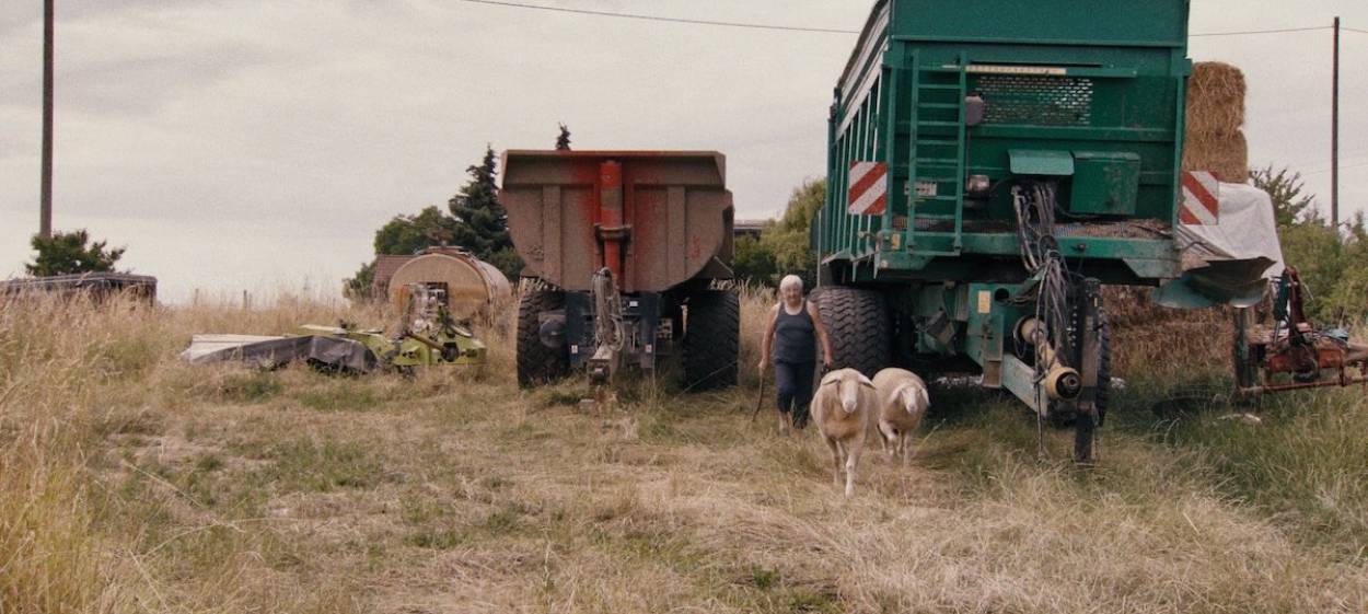 BETWEEN THE FIELDS   // © 2023 Gretel Ribka, Jonas Riedinger | HFF Munich    BETWEEN THE FIELDS