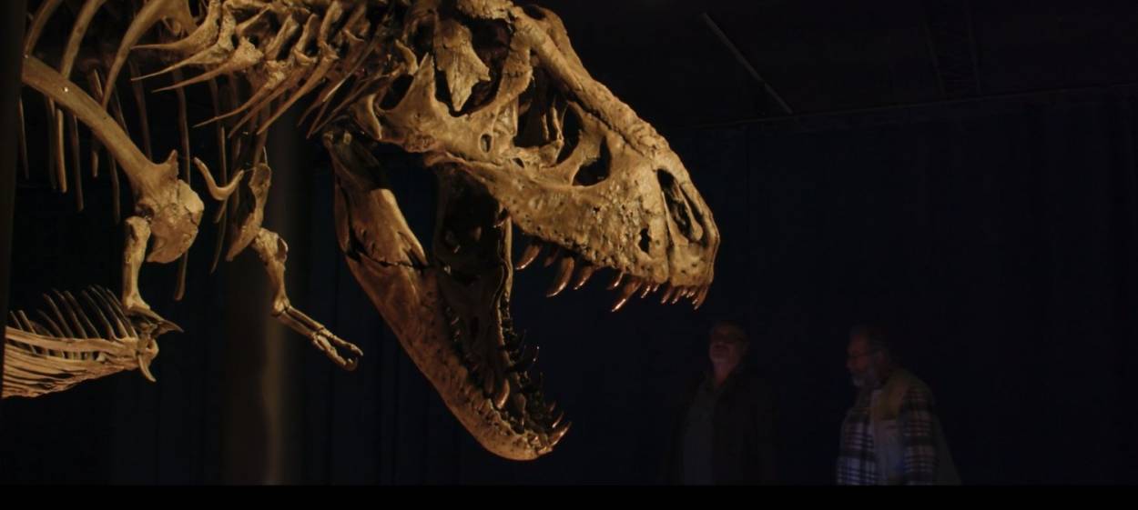 THE BONES   // © 2024 DOGWOOF    THE BONES