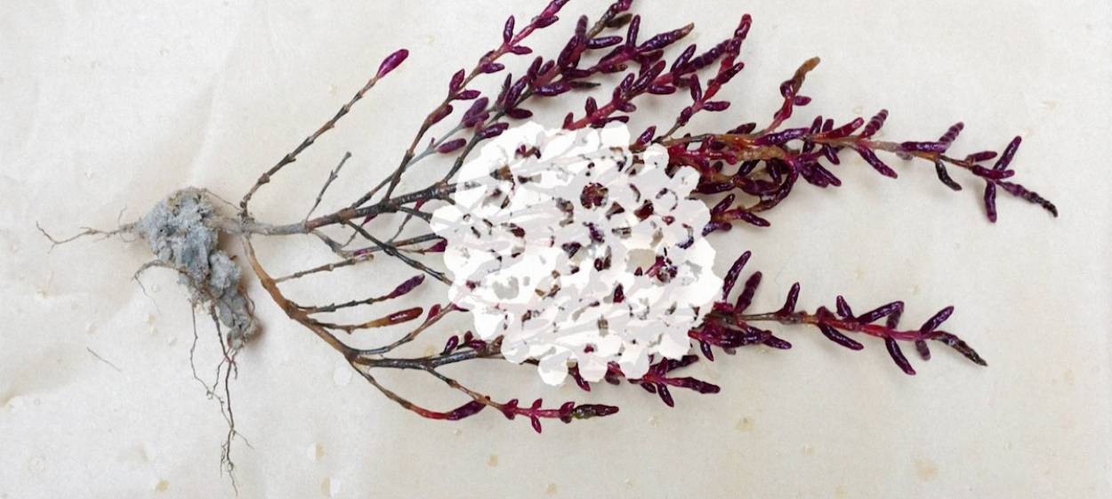 LANDEN   // © 2023 Vanessa Nica Mueller    LANDEN