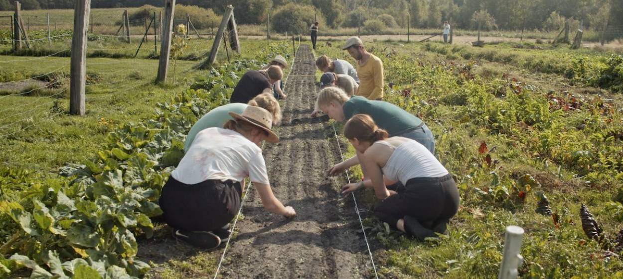 SHARING THE HARVEST  // © 2022 Philipp Petruch    SHARING THE HARVEST