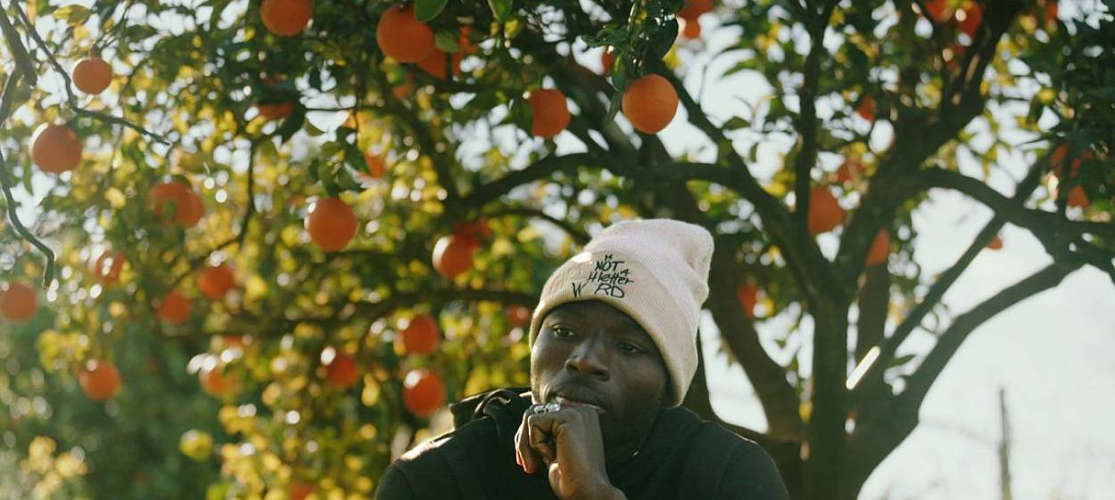 THE PICKERS  // © 2024 berlin producers Media GmbH    THE PICKERS