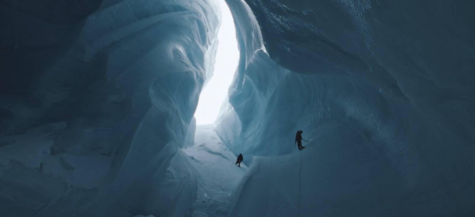 INTO THE ICE