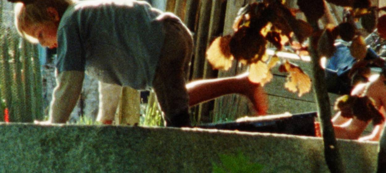 THE WIND IS TAKING THEM  // © 2023 joon film    THE WIND IS TAKING THEM