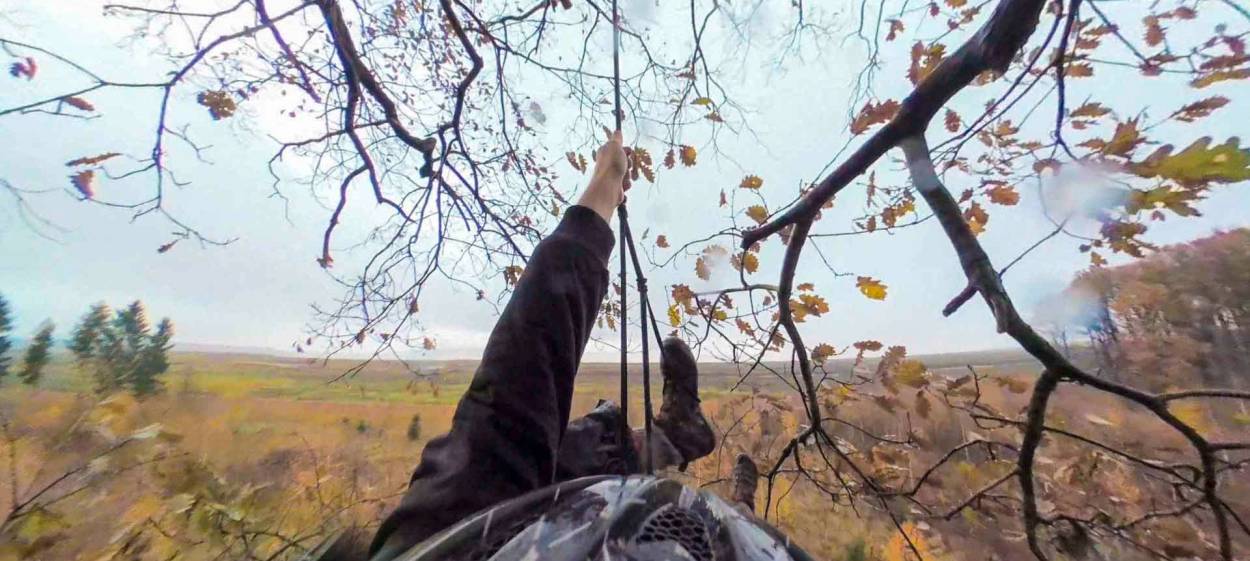 LONELY OAKS  // © 2023 Made in Germany GmbH    LONELY OAKS