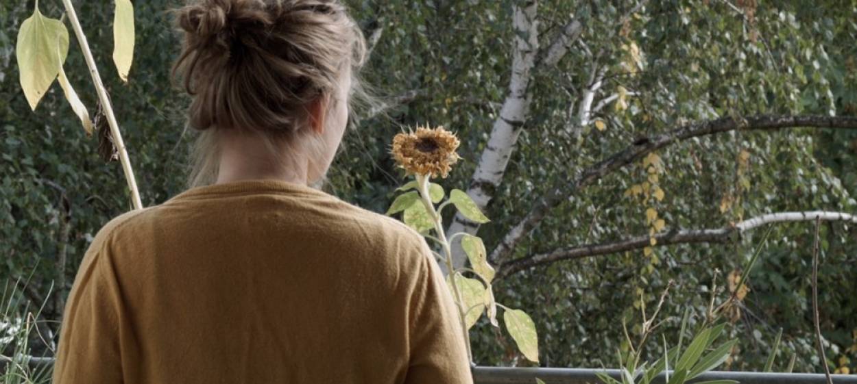 ROOF OF LEAVES  // © 2021 Anna Caroline Arndt    ROOF OF LEAVES