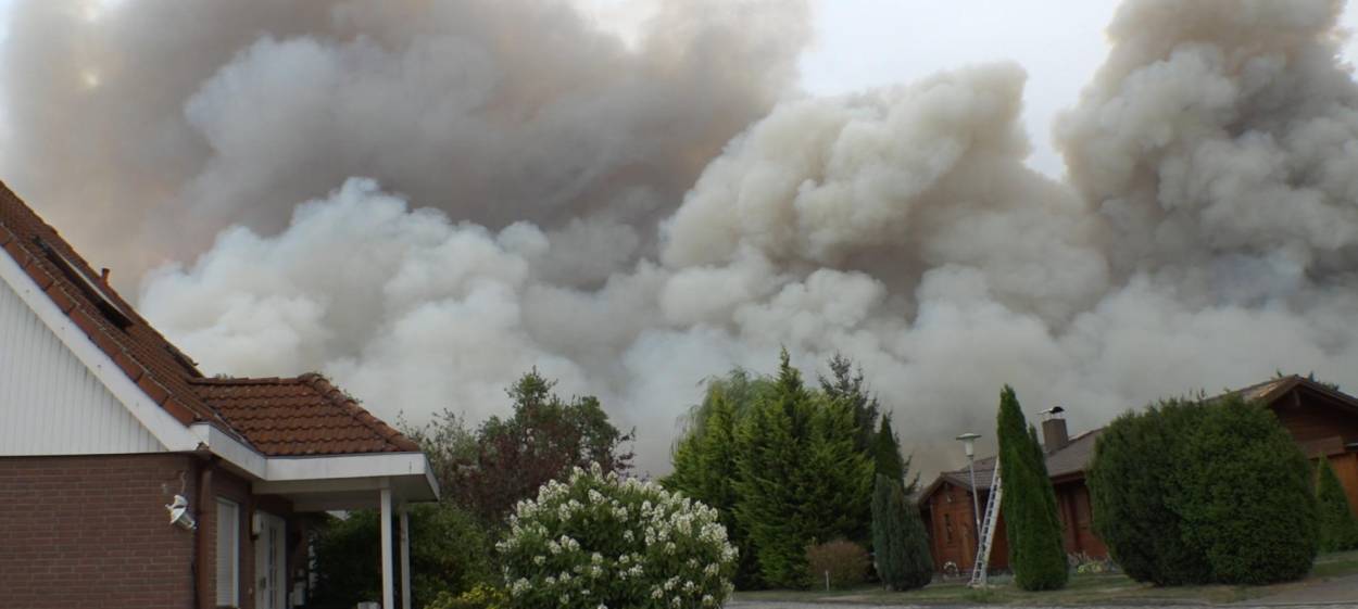 FOREST FIRE  // © 2024 CONDOR Filmproduktion Berlin | Klaus Tümmler    FOREST FIRE