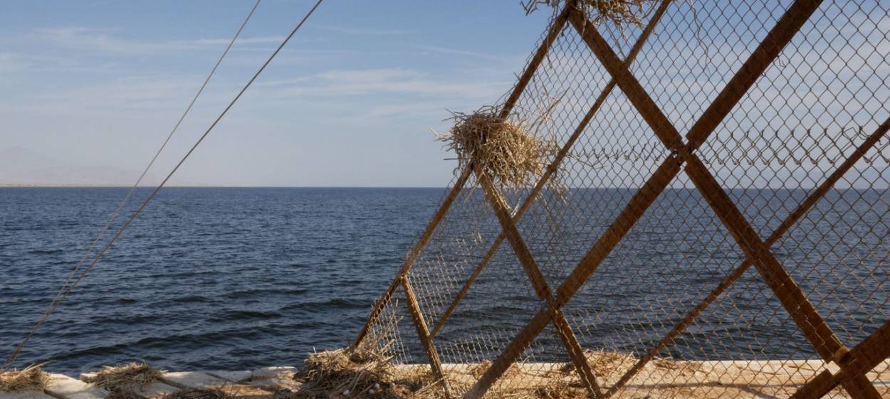 MARINE TARGET   // © 2022 SIXPACK    MARINE TARGET