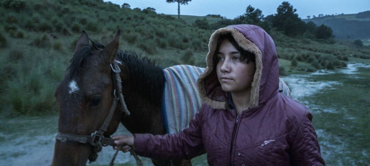 THE ECHO  // © 2023 Radiola Films | The Match Factory    THE ECHO