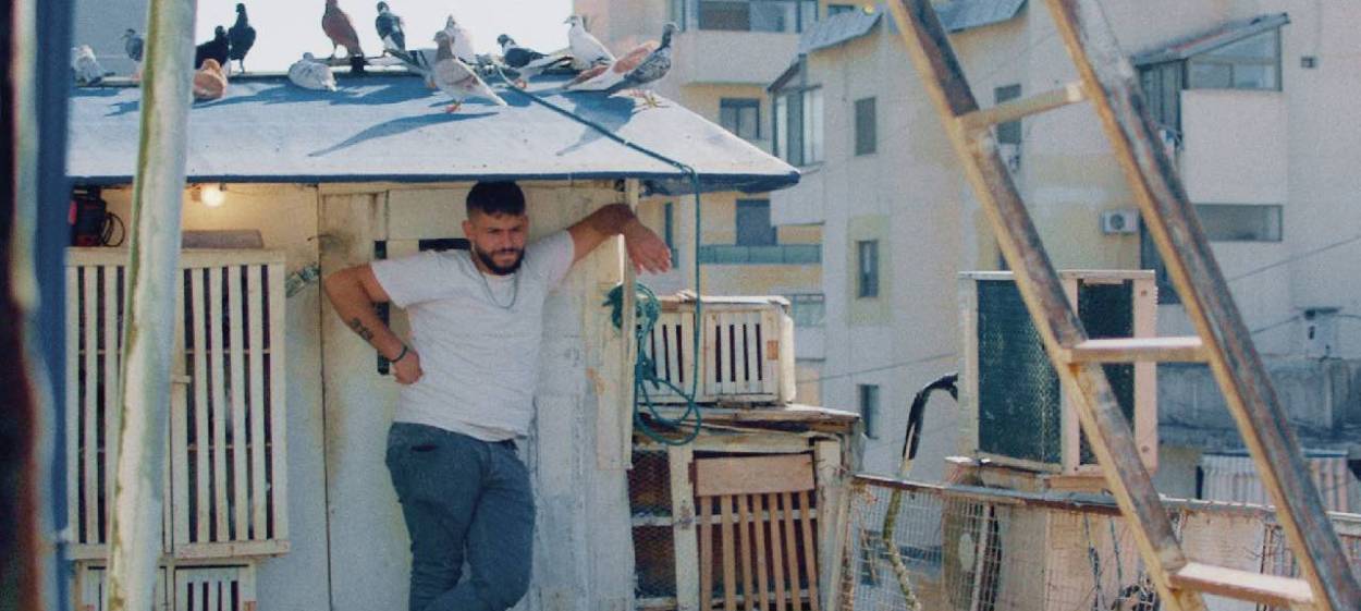 KASH KASH – WITHOUT FEATHERS WE CAN'T LIVE  // © 2021 FFL Film- und Fernseh-Labor Ludwigsburg GmbH & Co. KG    KASH KASH – WITHOUT FEATHERS WE CAN'T LIVE