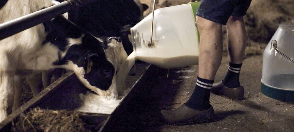 FREE STATE MIDPOINT  // © 2019 Kai Ehlers    FREE STATE MIDPOINT