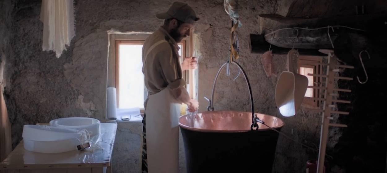 COWS ON THE ROOF  // © 2020 First Hand Films    COWS ON THE ROOF