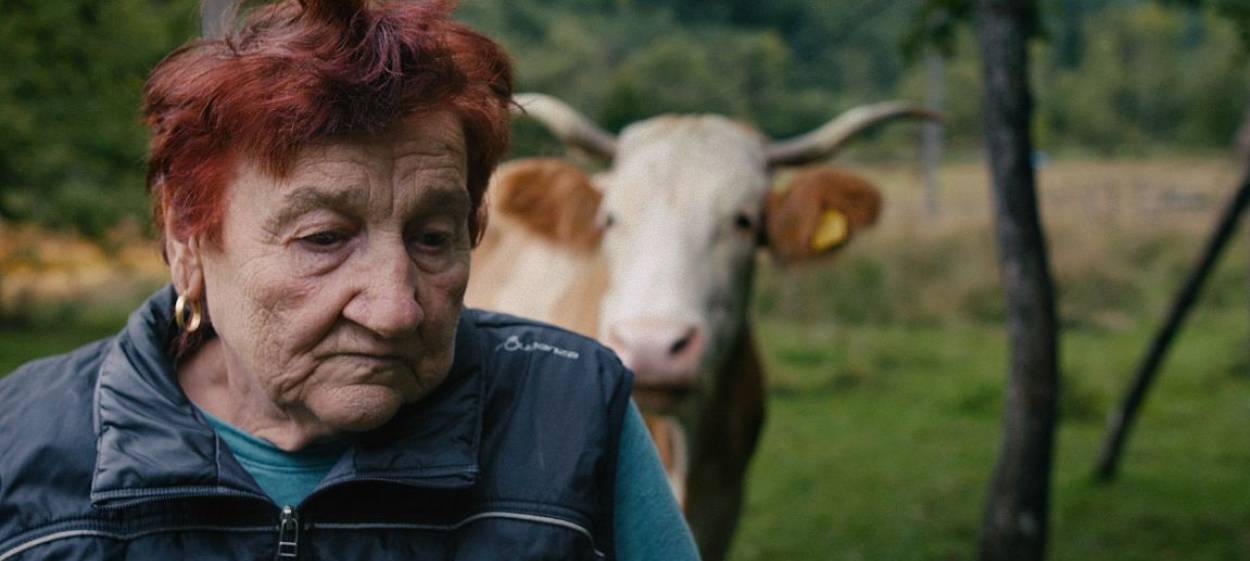 WHERE WE USED TO SLEEP  // © 2024 megaherz    WHERE WE USED TO SLEEP