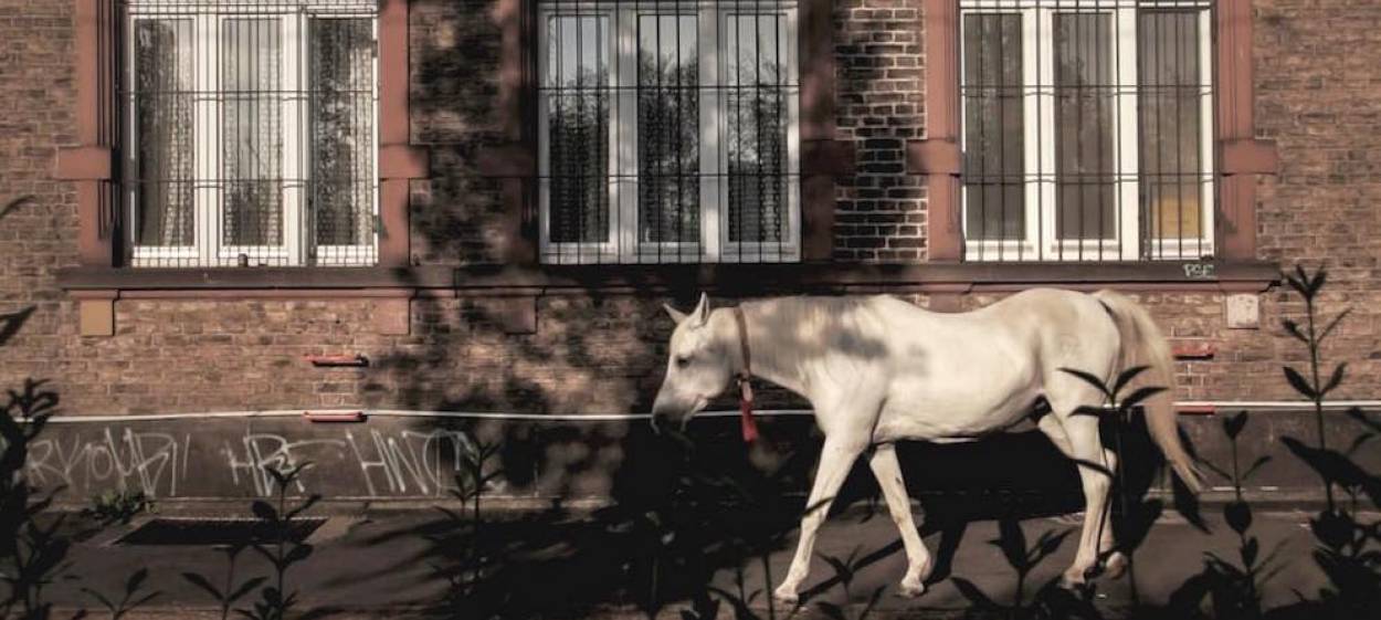 THE WALK  // © 2020 Michael Jung    THE WALK