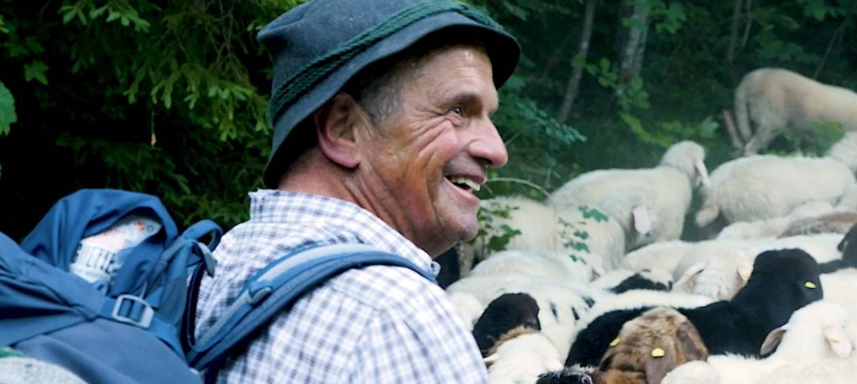 ALPINE SHEPHERD'S LAST SUMMER  // © 2023 Konzept+Dialog.Medien | Walter Steffen    ALPINE SHEPHERD'S LAST SUMMER