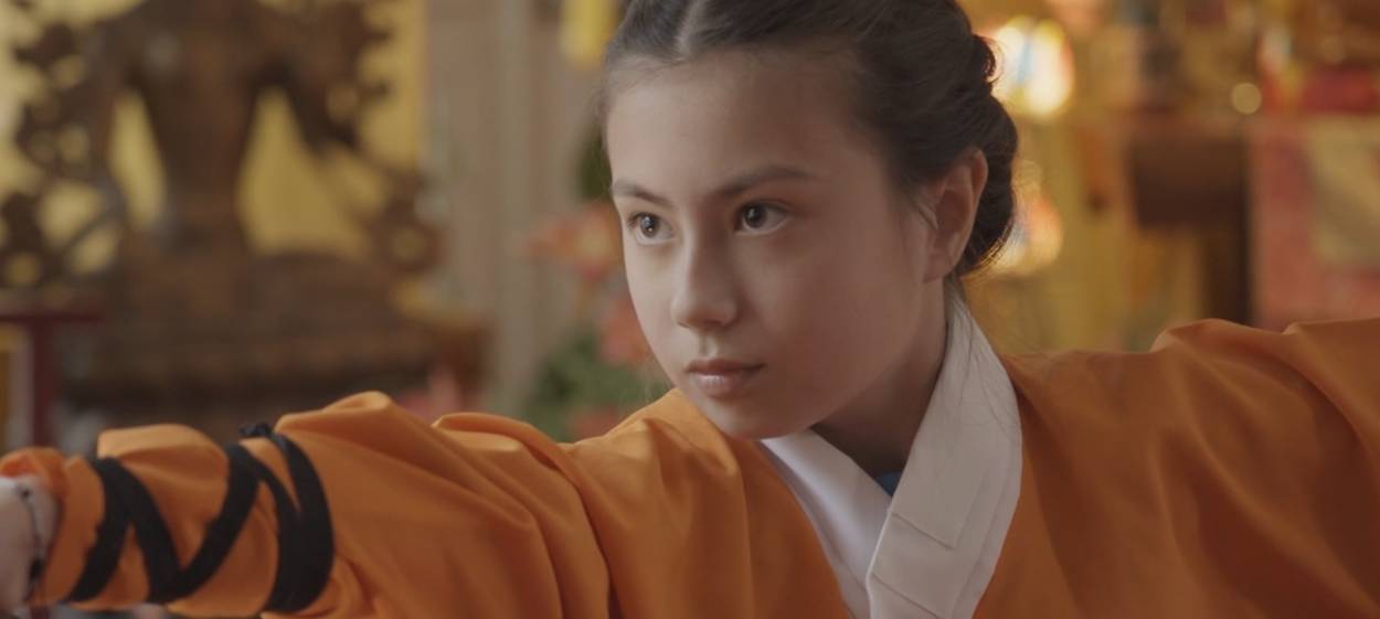 THE DAUGHTER OF THE SHAOLIN MASTER 