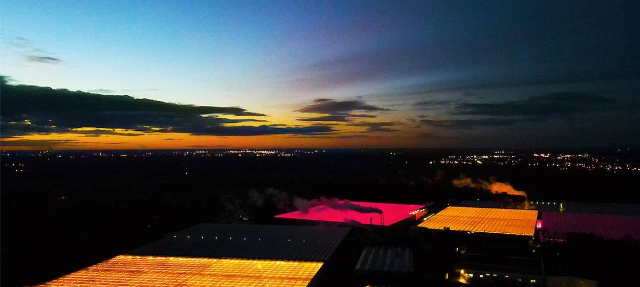 SLEEPLESS BIRDS  // © 2022 Pangolin Doxx Films    SLEEPLESS BIRDS