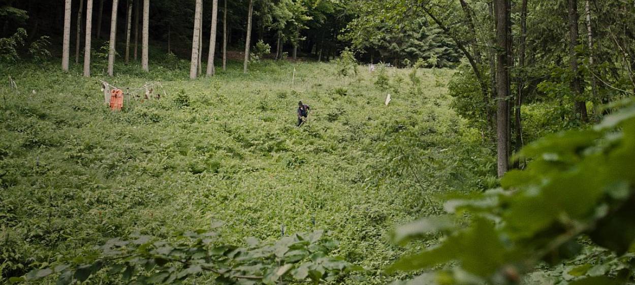 WOODLAND  // © 2022 HFF München    WOODLAND