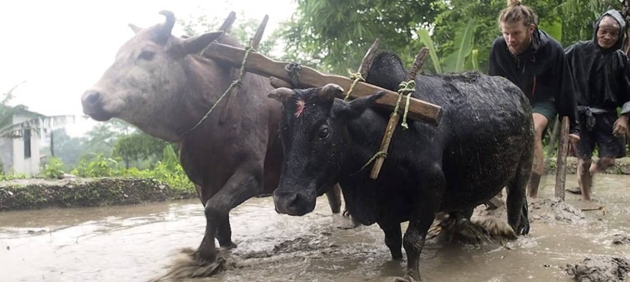 NAMASTE HIMALAYA  // © 2021 Anna Baranowski    NAMASTE HIMALAYA