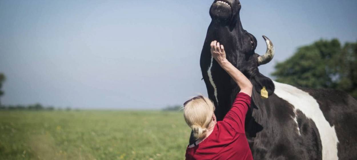 BUTENLAND  // © 2019 Marc Pierschel    BUTENLAND