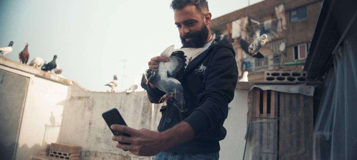 KASH KASH – WITHOUT FEATHERS WE CAN'T LIVE  // © 2021 MAGNETFILM | FFL    KASH KASH – WITHOUT FEATHERS WE CAN'T LIVE