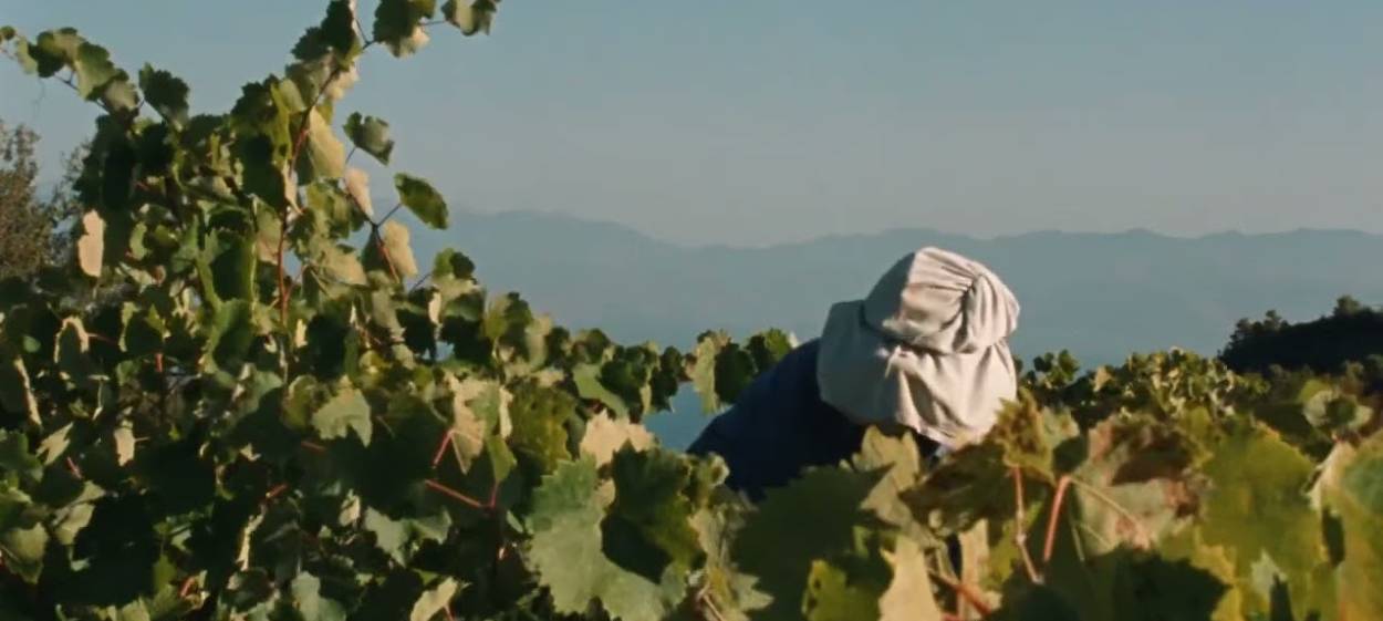 FASOLÀKIA  // © 2023 Maximilian Karakatsanis    FASOLÀKIA