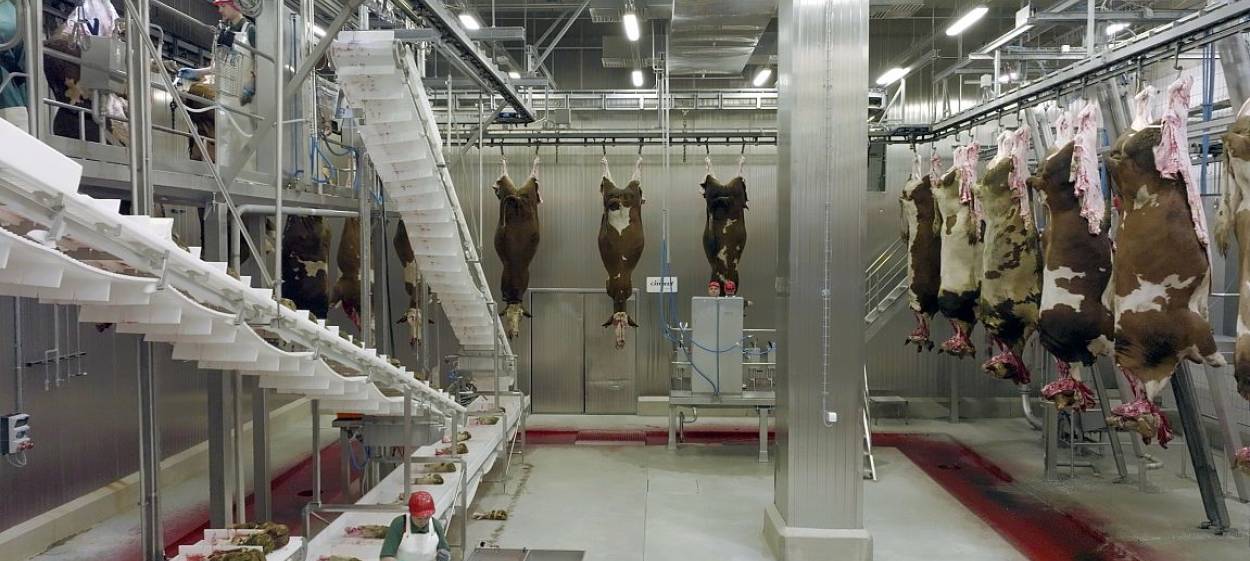 US AND THE ANIMAL – A SLAUGHTERHOUSE MELODRAMA  // © 2023 EIKON Media GmbH    US AND THE ANIMAL – A SLAUGHTERHOUSE MELODRAMA