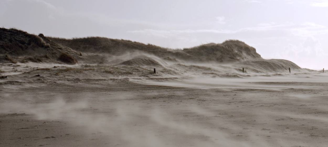 SAND FLIGHT  // © 2023 dorocarl    SAND FLIGHT