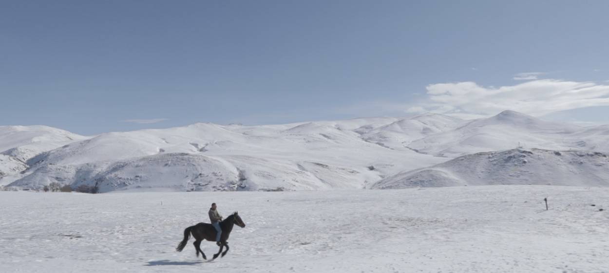 5 DREAMERS AND A HORSE  // © 2021 Olik production | Color of May    5 DREAMERS AND A HORSE