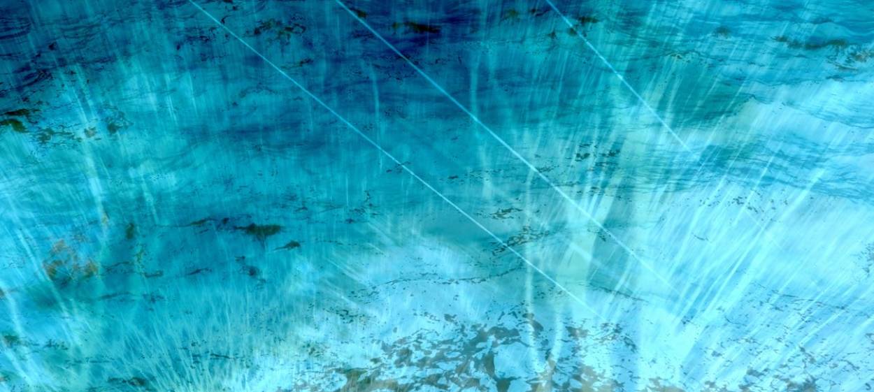 SURVIVOR MANIFESTO – THE ART OF MAKING KIN   // © 2022 Bikepunk Productions    SURVIVOR MANIFESTO – THE ART OF MAKING KIN