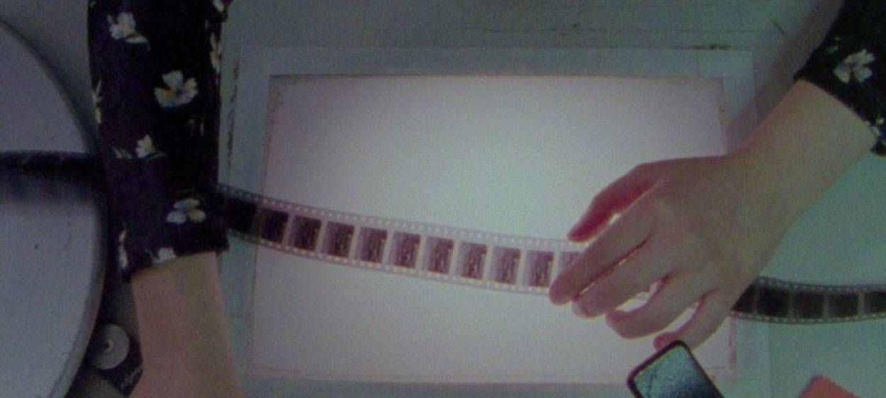 HERBARIA  // © 2022 Leandro Listorti    HERBARIA