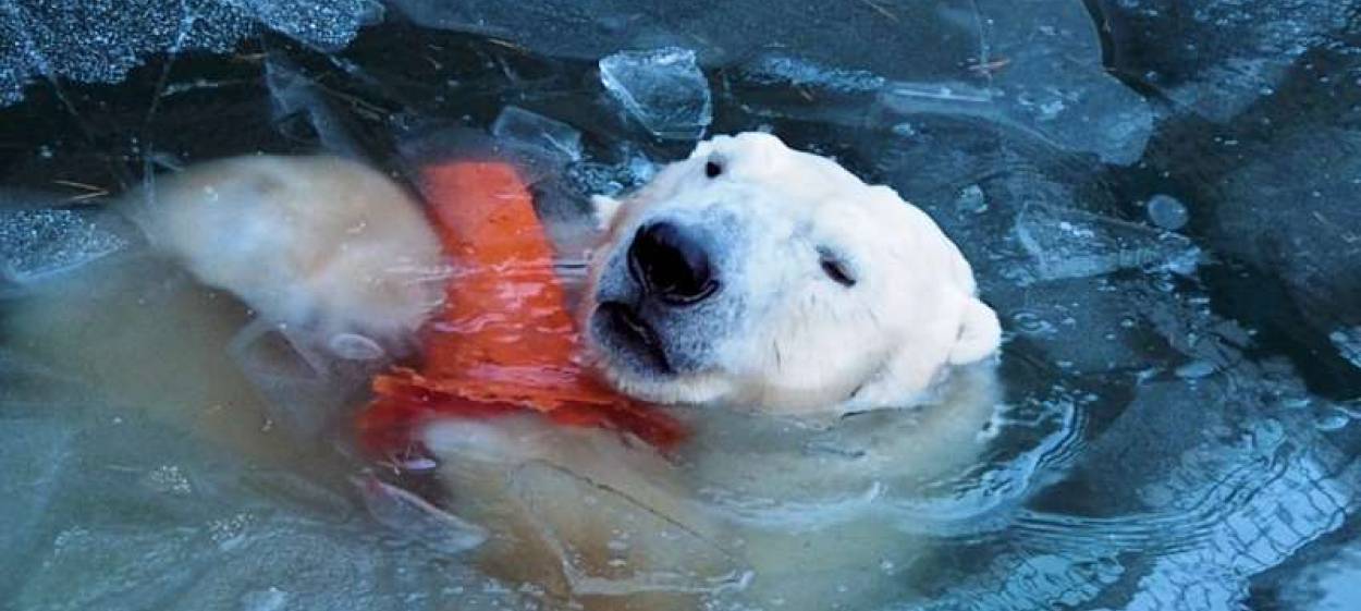 EVERYTHING WILL CHANGE  // © 2021 farbfilm verleih GmbH    EVERYTHING WILL CHANGE