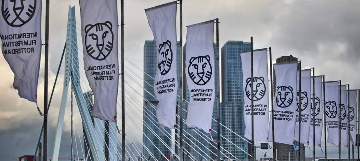 IFFR International Film Festival Rotterdam   IFFR International Film Festival Rotterdam