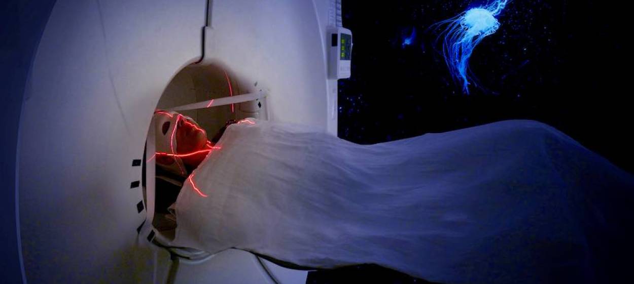 AWARE – GLIMPSES OF CONSCIOUSNESS  // © 2020 Umbrella Films | New Docs    AWARE – GLIMPSES OF CONSCIOUSNESS