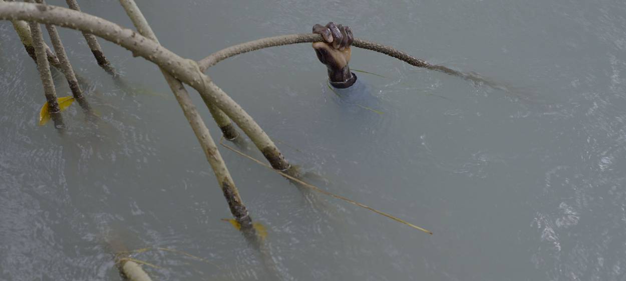 MANGROVE SCHOOL  // © 2022 Filipa César, Sónia Vaz Borges    MANGROVE SCHOOL