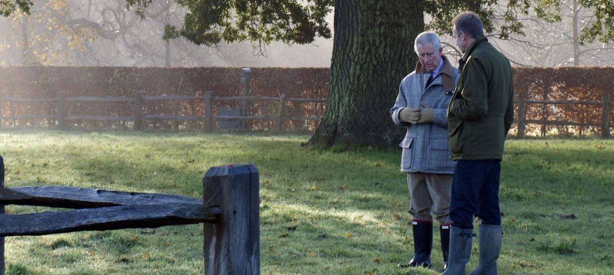 THE FARMER AND HIS PRINCE  // © 2013 DENKmal-Film Verhaag GmbH    THE FARMER AND HIS PRINCE