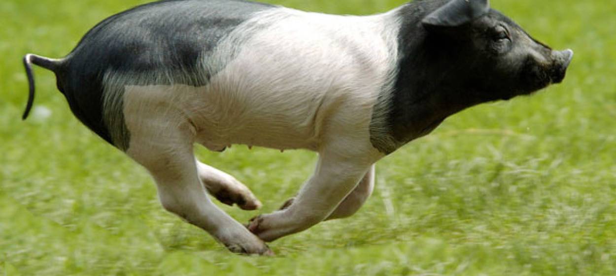 YES WE CAN ... Agricultural Change NOW!  // © 2022 DENKmal-Film, Munich,    YES WE CAN ... Agricultural Change NOW!